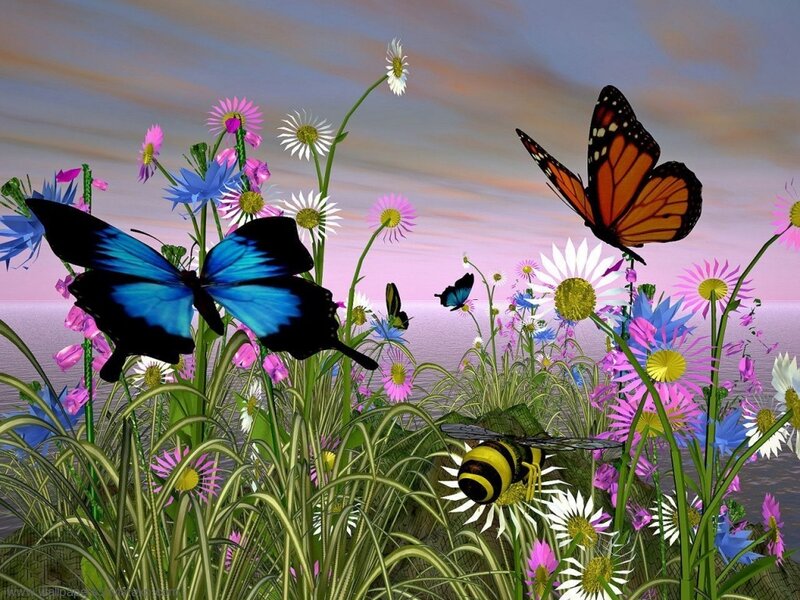 Butterflies and flowers in a meadow