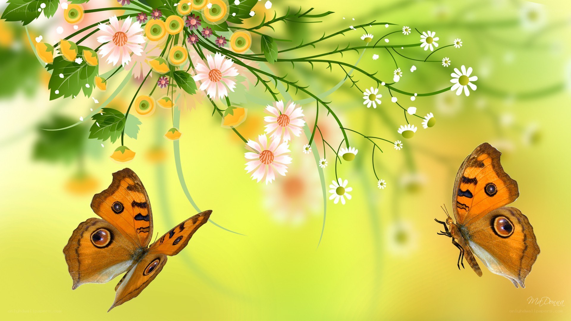Butterflies and flowers in spring