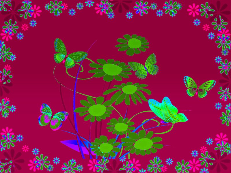 Butterflies and Flowers — Magenta