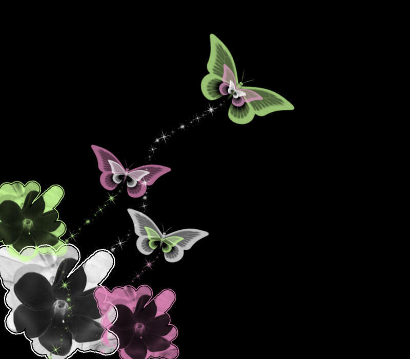 butterflies and flowers on black