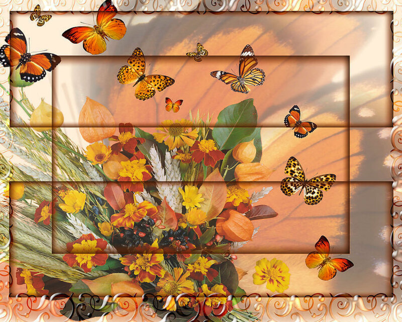 Butterflies and Flowers — Orange, Serene, Autumn