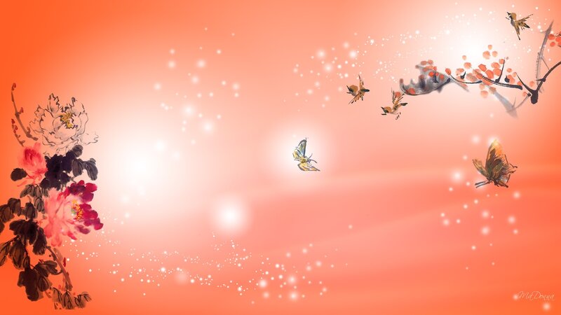 Butterflies and Flowers — Orange