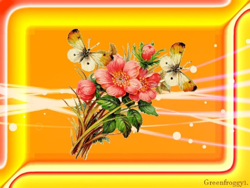 Butterflies and Flowers — Orange, Vibrant