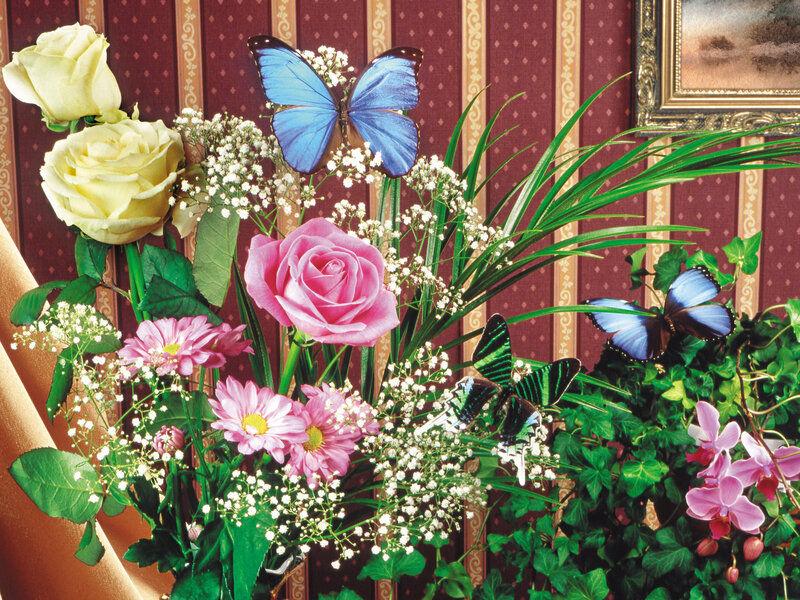 Butterflies and Flowers — Pink, Calm