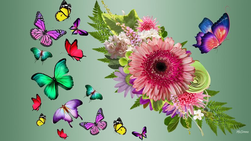 Butterflies and Flowers — Pink, Colorful