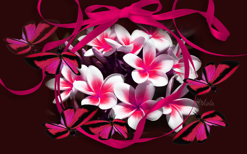 Butterflies and Flowers — Pink, Dramatic