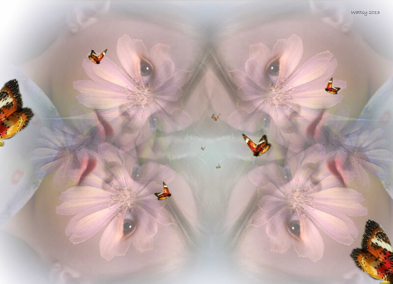 Butterflies and Flowers — Pink, Dreamy, Digital Art, Eyes