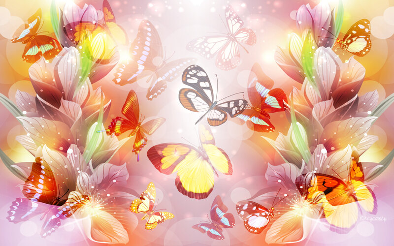 Butterflies and Flowers — Pink, Dreamy, Sunset