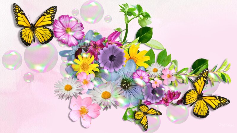 Butterflies and Flowers — Pink, Playful, Spring