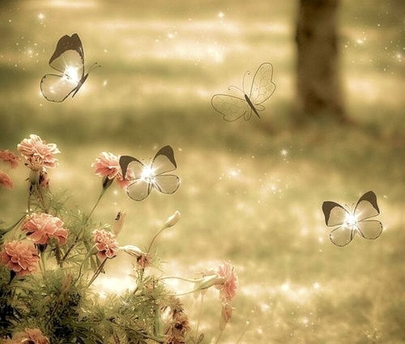 Butterflies and Flowers — Pink, Serene, Afternoon, Digital Art
