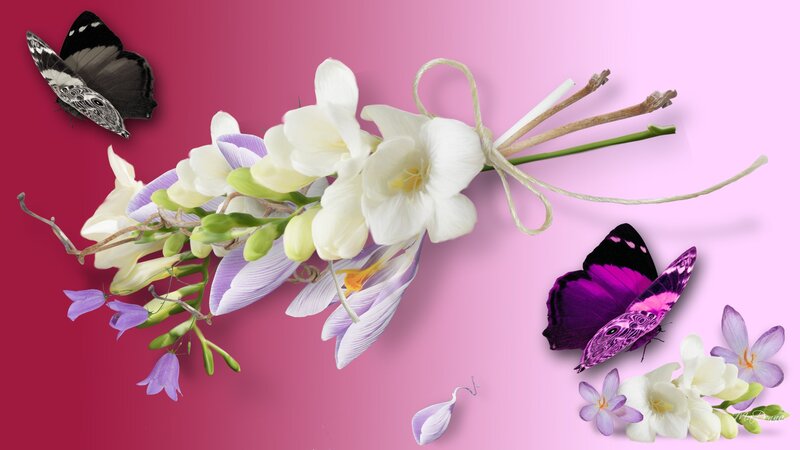Butterflies and Flowers — Pink, Serene, Digital Art, Butterfly, Flower, String