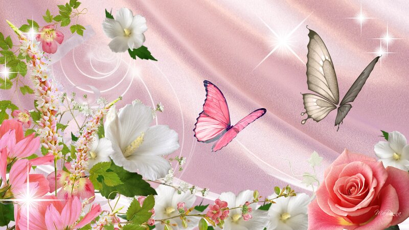 Butterflies and Flowers — Pink, Serene, Digital Art, Butterfly