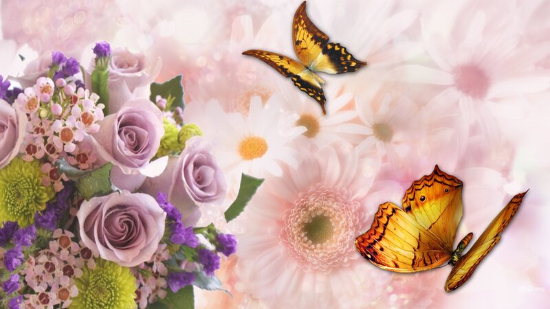 Butterflies and Flowers — Pink, Serene, Spring, Digital Art, Butterfly, Rose