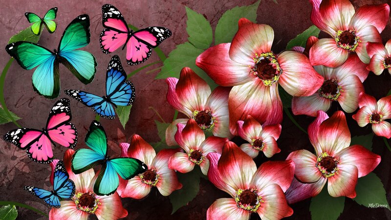 Butterflies and Flowers — Pink, Vibrant, Digital Art, Leaves