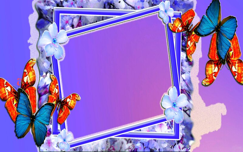 Butterflies and Flowers — Purple, Colorful