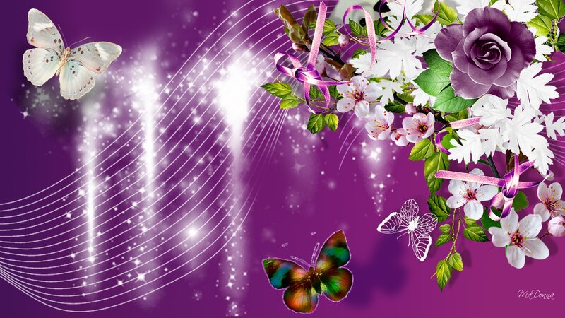 Butterflies and Flowers — Purple, Dreamy, Digital Art, Butterfly, Rose