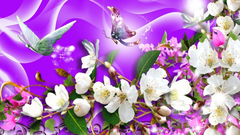 Butterflies and Flowers — Purple, Dreamy, Spring