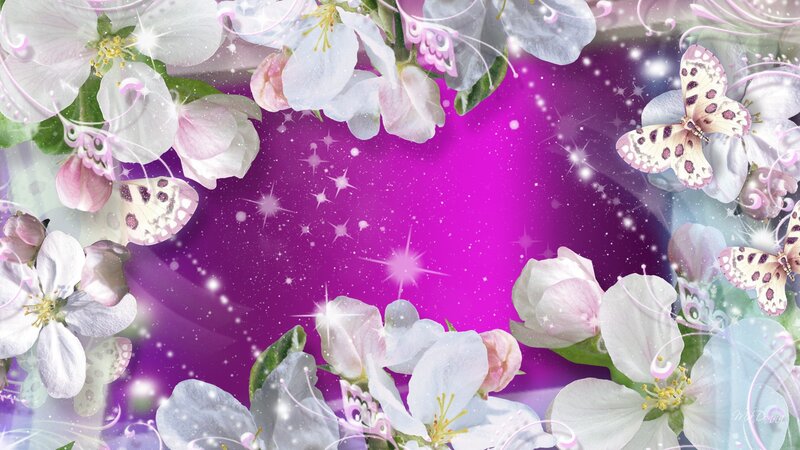Butterflies and Flowers — Purple, Magical, Spring