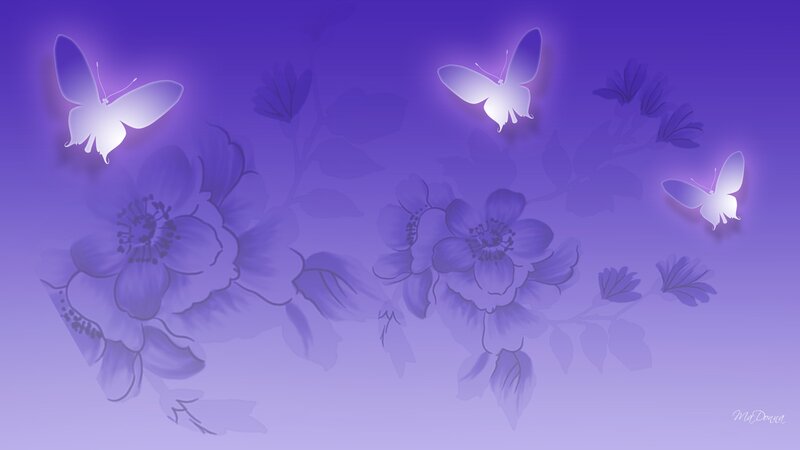 Butterflies and Flowers — Purple, Serene, Night