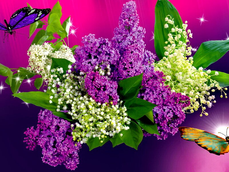 Butterflies and Flowers — Purple, Vibrant