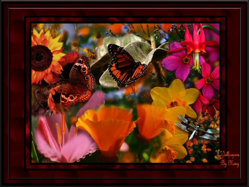 Butterflies and Flowers — Red, Vibrant