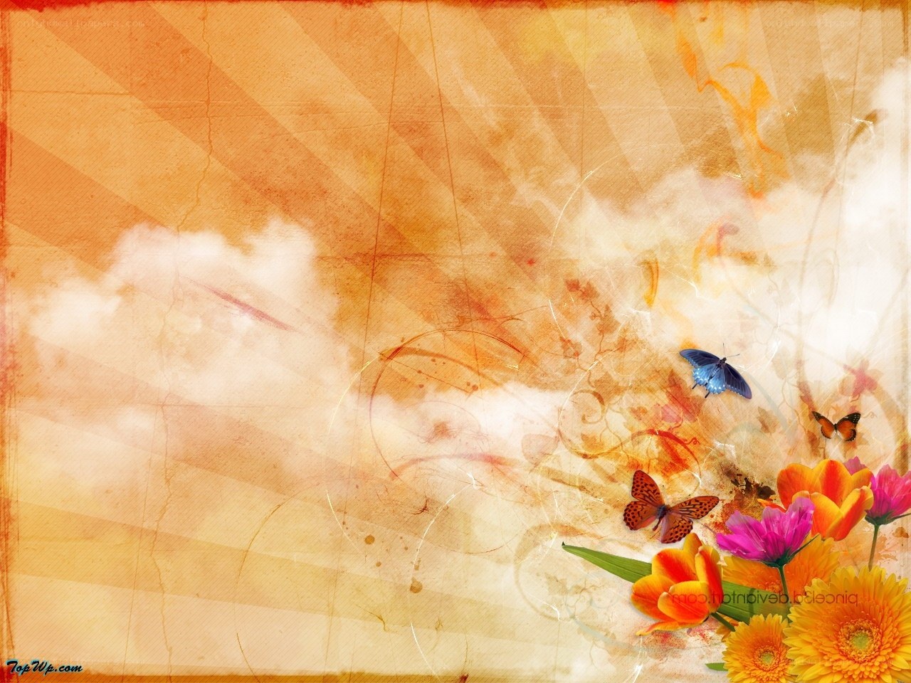 butterflies and flowers wallpaper