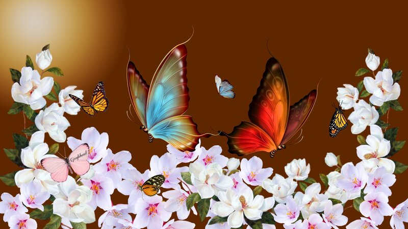 Butterflies and Flowers — White, Serene, Digital Art, Butterfly, Flower