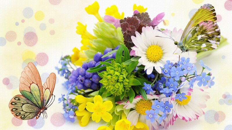 Butterflies and Flowers — White
