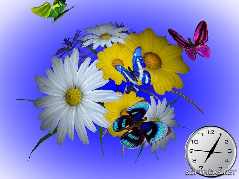 butterflies and flowers with clock