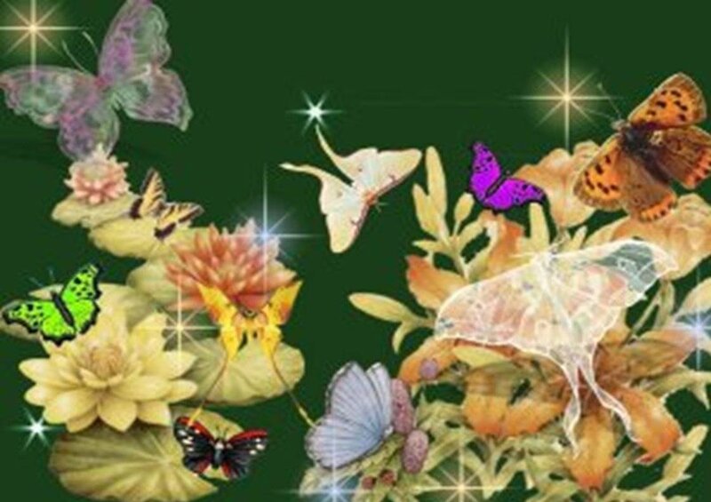 butterflies and flowers with sparkles