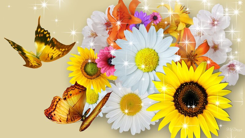 Butterflies and Flowers — Yellow, Bright