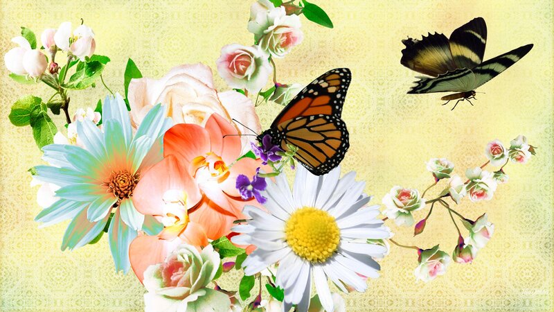 Butterflies and Flowers — Yellow, Serene, Spring, Digital Art, Butterfly