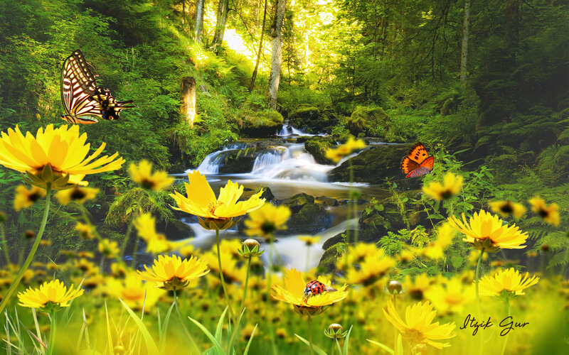Butterflies and Flowers — Yellow