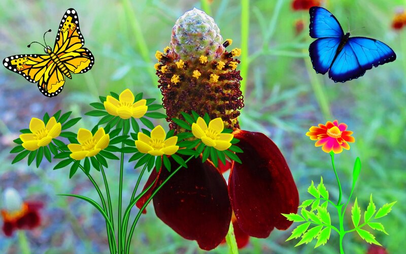 Butterflies and Flowers — Yellow, Vibrant, Afternoon