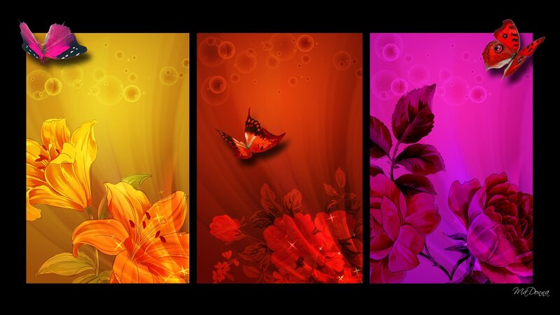 Butterflies and Flowers — Yellow, Vibrant, Digital Art, Butterfly