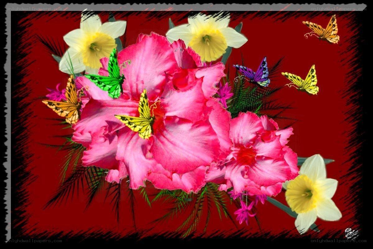 butterflies and flowers