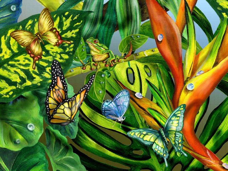 Butterflies and Frog in Jungle