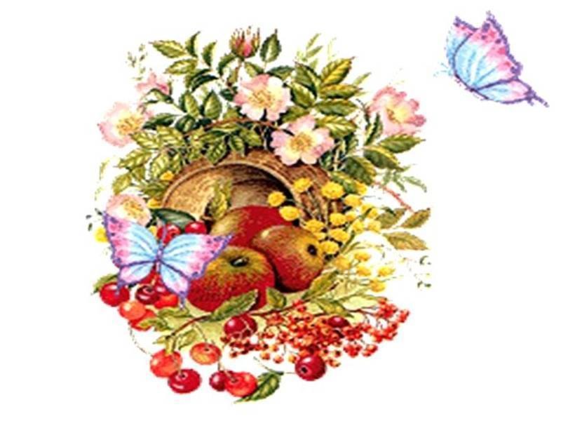 butterflies and fruit basket