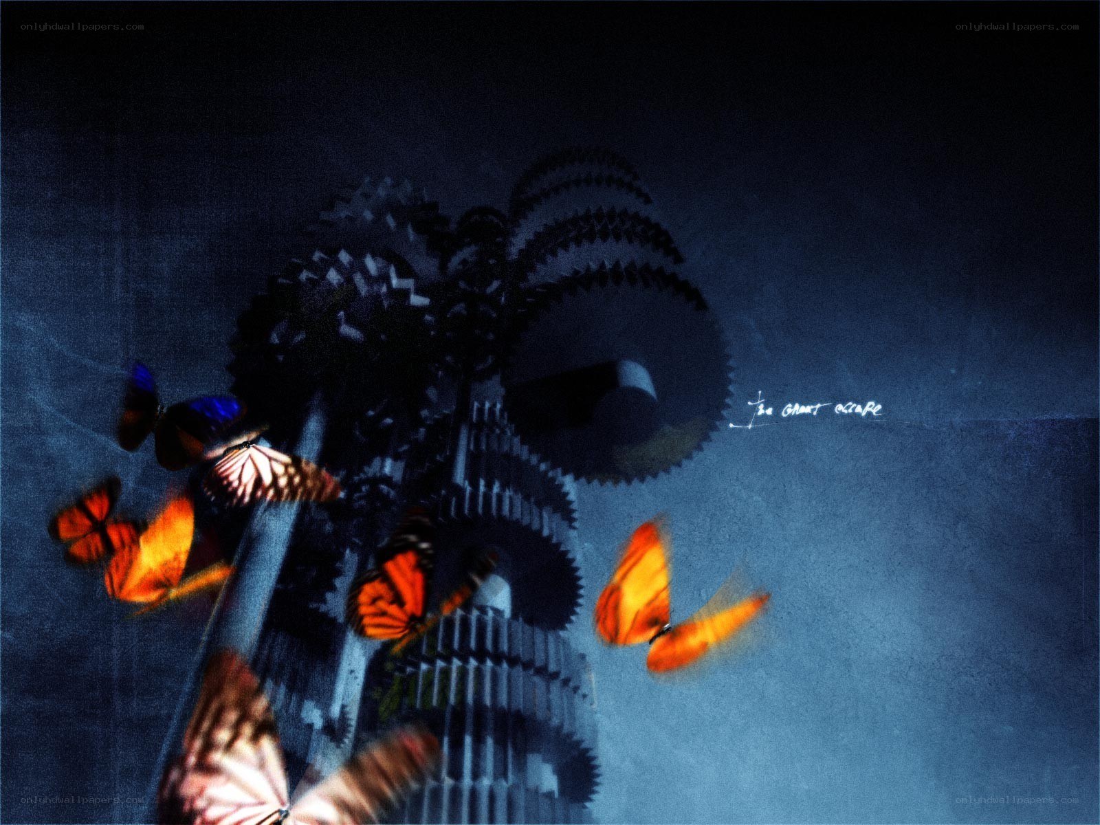 butterflies and gears