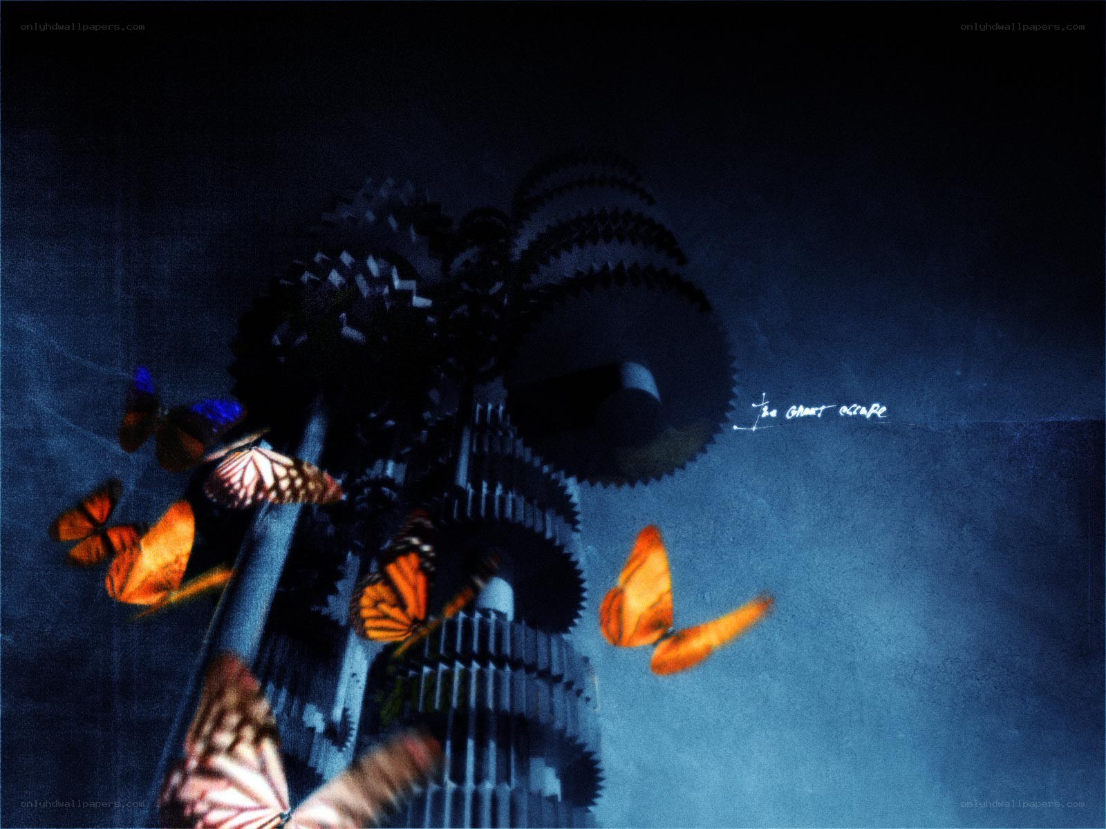 butterflies and gears