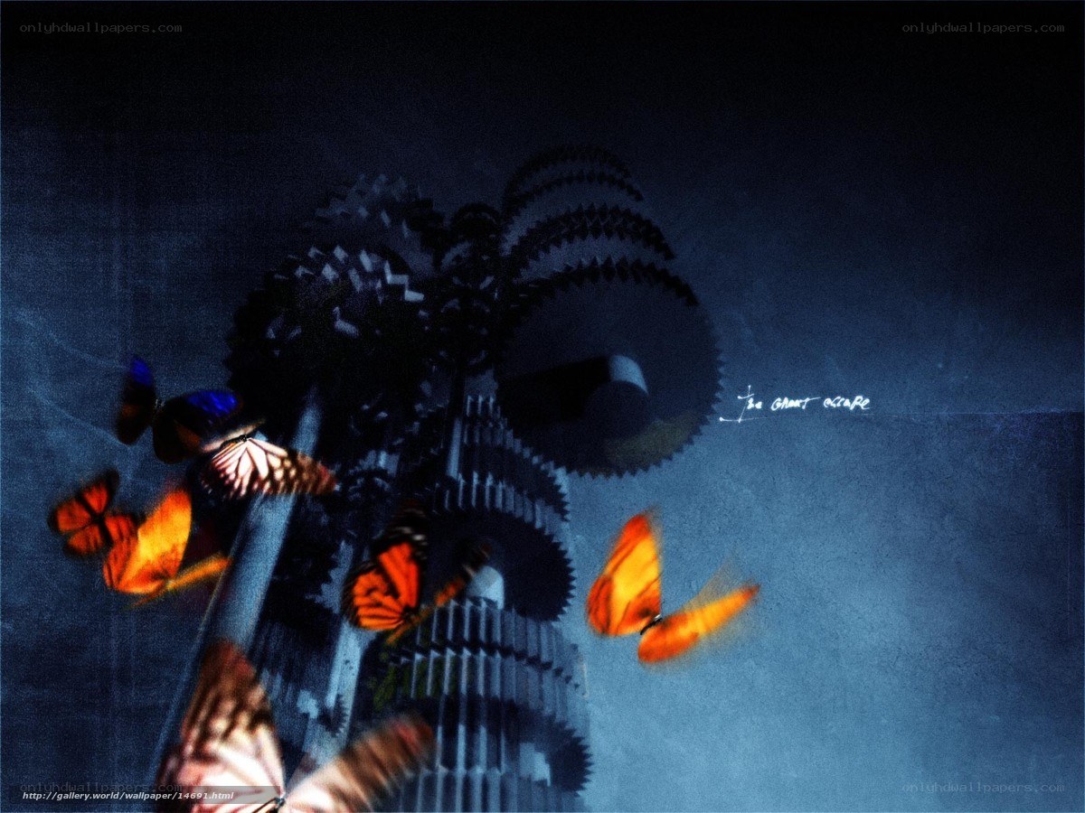 butterflies and gears