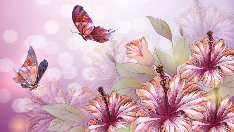 Butterflies and Hibiscus Flowers