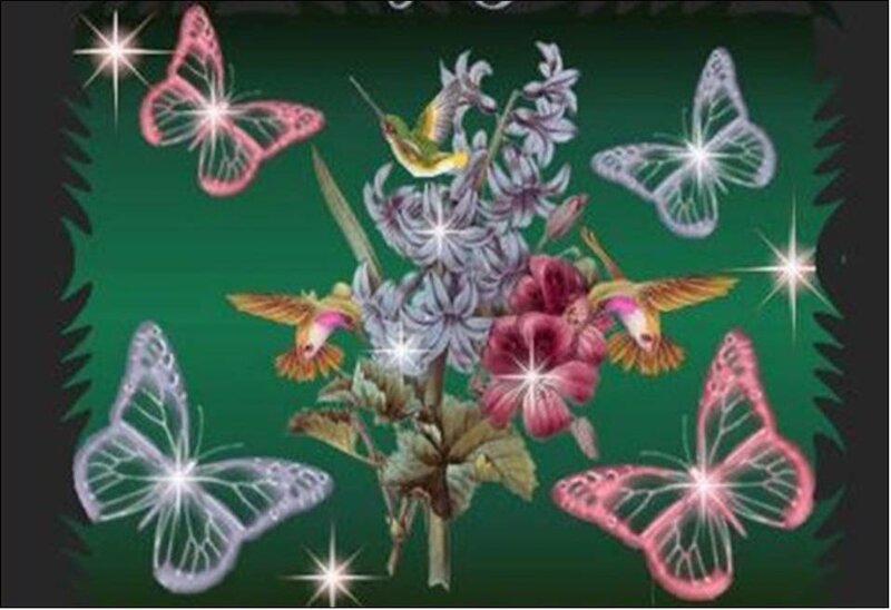 butterflies and hummingbirds with flowers
