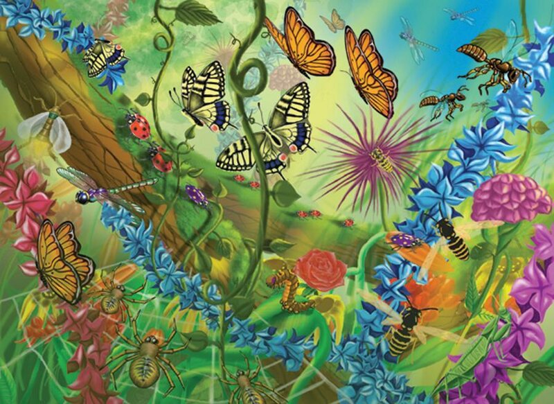 Butterflies and Insects in Garden