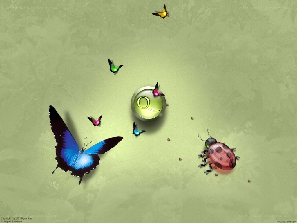 butterflies and ladybug on green