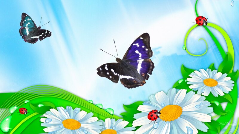 Butterflies and Ladybugs — Blue