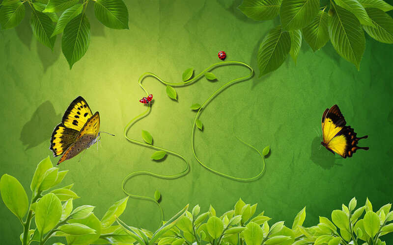 Butterflies and Ladybugs — Green, Serene