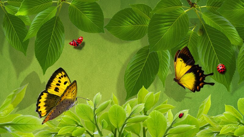 Butterflies and Ladybugs — Green