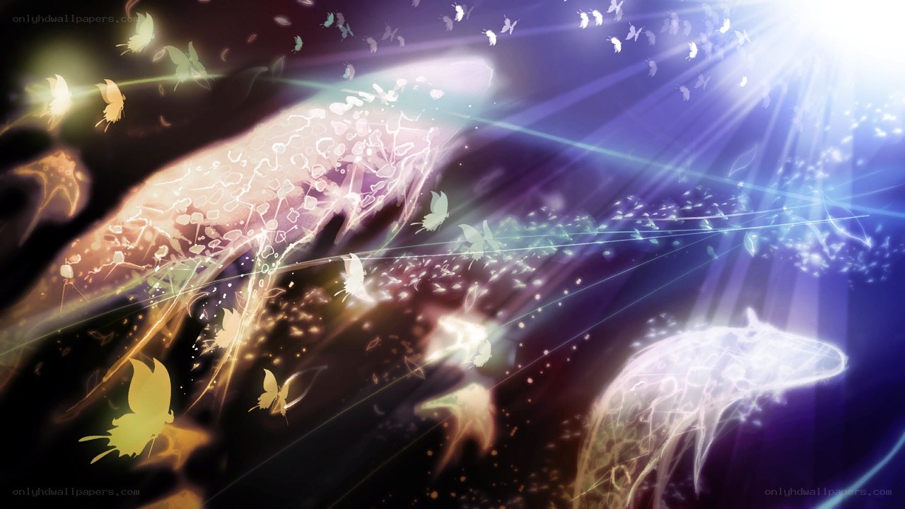 butterflies and light beams