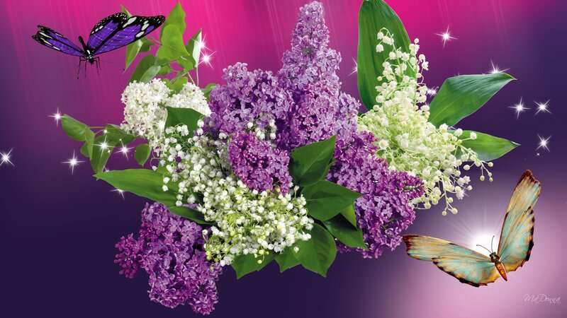 Butterflies and Lilac Bouquet